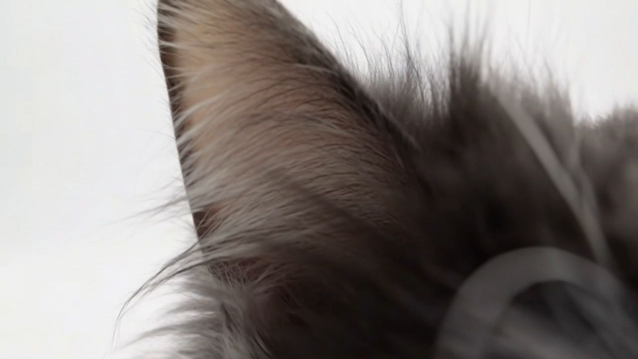 视频缩略图